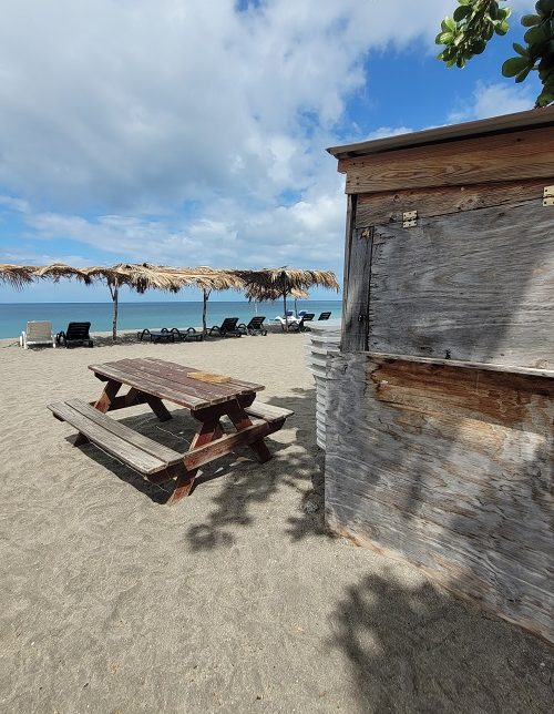 20220412_094858-e1651613711419