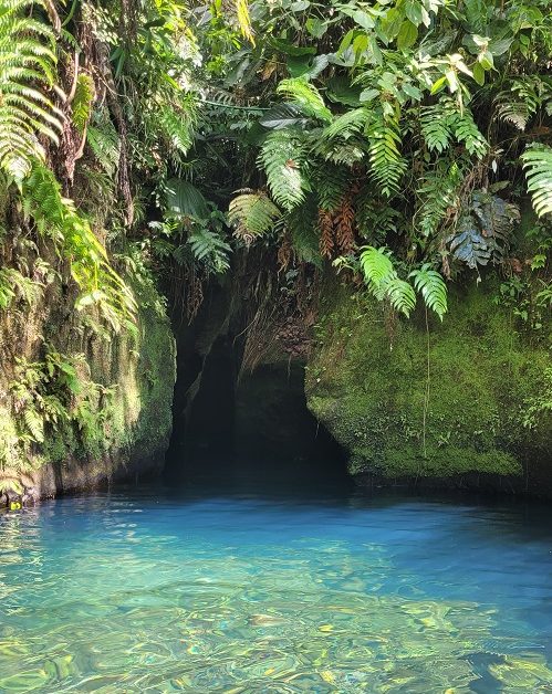 20220414_140749-e1651612911863