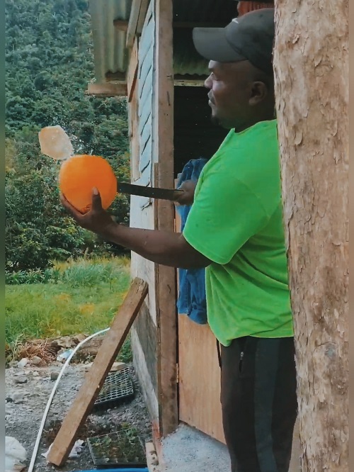 InShot_20220426_123315581