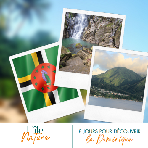 photo-CDV-Dominique-Site-1